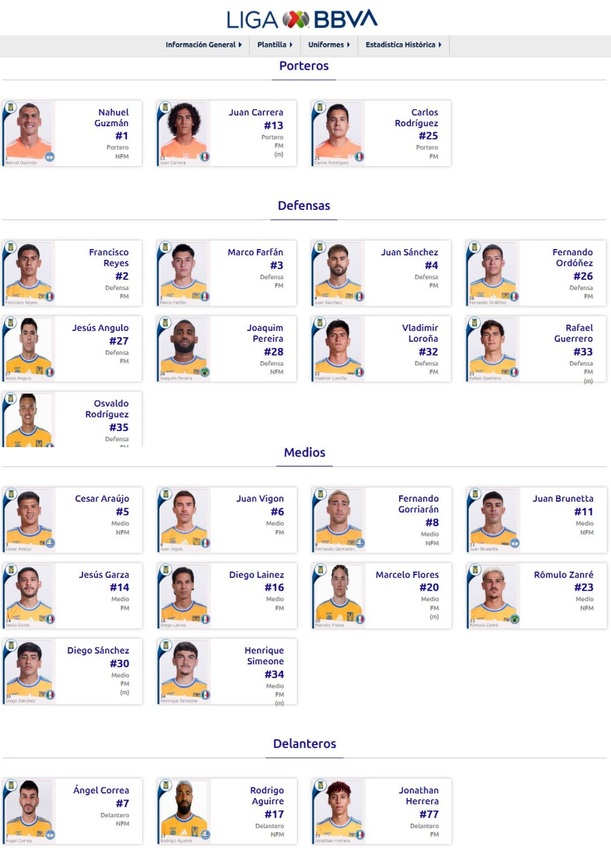 Plantilla de Tigres para el AP2026 (ligamx.net)