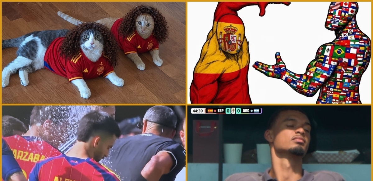 Mejores memes de España campeón (Especial)