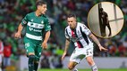Polémica en el Santos vs. Atlas (Mexsport)