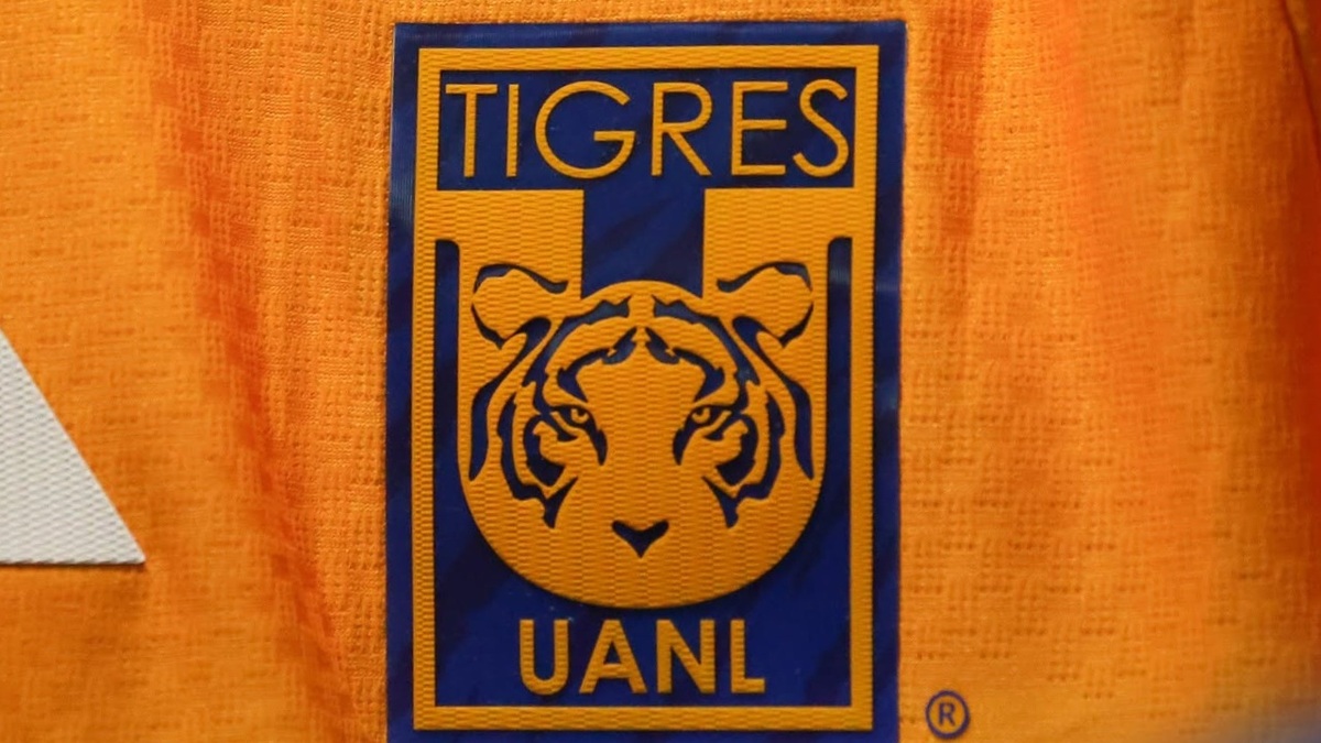 Tigres ya no es dirigido por Guido Pizarro (Facebook @ClubTigres)