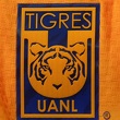 Tigres ya no es dirigido por Guido Pizarro (Facebook @ClubTigres)