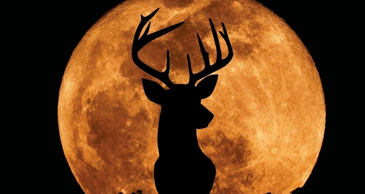 Luna Llena de Ciervo HOY 29 de julio 2026 | Foto: CANVA
