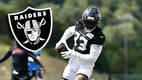 Raiders refuerza su backfield con Dare Ogunbowale, quien llega a Las Vegas proveniente de Texans. FOTO: @dareogunbowale