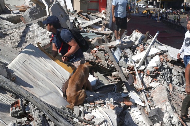 Ya comienzan los trabajos para buscar personas debajo de escombros. (Foto: EFE)