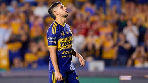 Tigres busca levantar en el torneo. (Foto: Tigres)