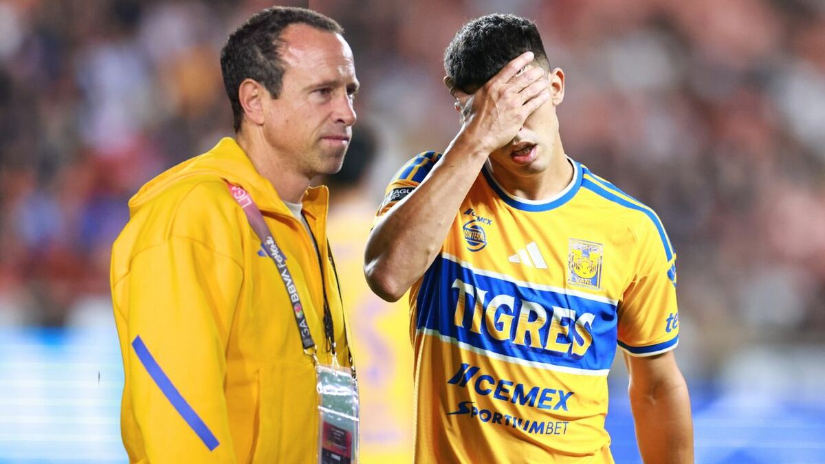 Torrado habló del nuevo DT de Tigres y del futuro de Brunetta. (Foto: Mexsport)