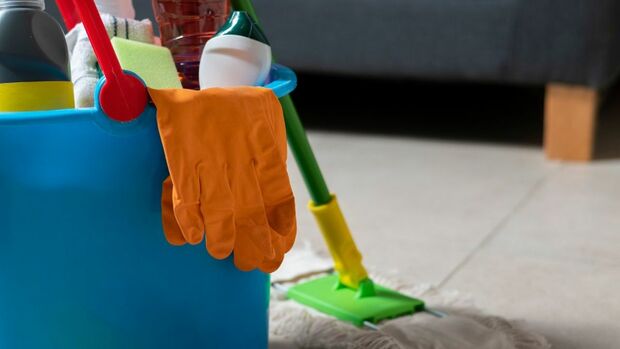 ¿Usas cloro para limpiar la pipí de tu perro? Estás cometiendo un grave error. Foto: Freepik