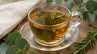 ¿Para qué sirve el té de eucalipto y romero? Foto: ChatGPT