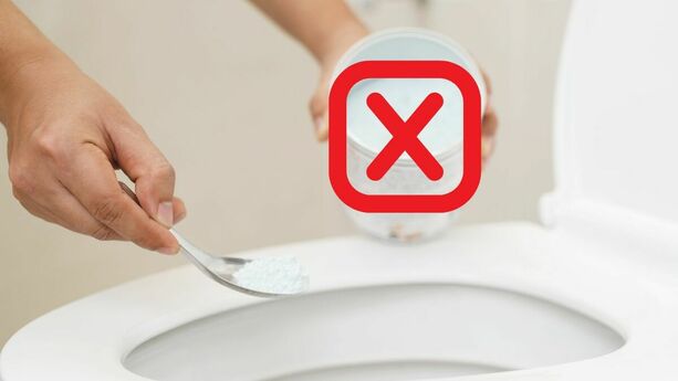 Di adiós al mal olor del baño con estos 5 remedios naturales y fáciles de aplicar. FOTO | ESPECIAL