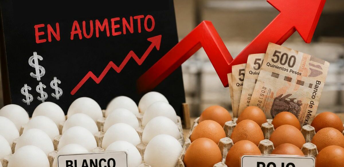 Hay un factor indispensable que marca la diferencia de precio del huevo rojo al huevo blanco. (Gemini AI)