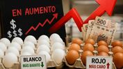 Hay un factor indispensable que marca la diferencia de precio del huevo rojo al huevo blanco. (Gemini AI)