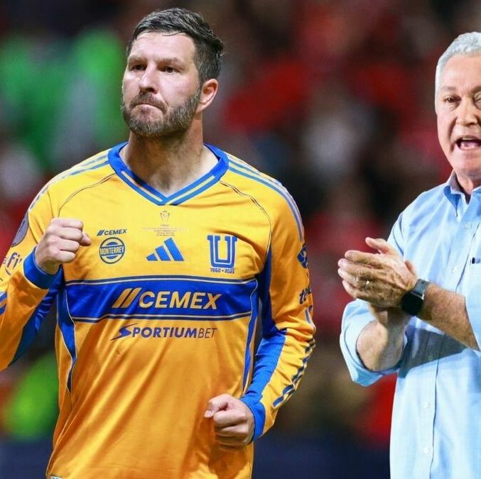 Gignac podría volver a Tigres, Vuce habló del tema. (Foto: Mexsport)