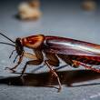 Cómo prevenir una infestación de cucarachas / IA