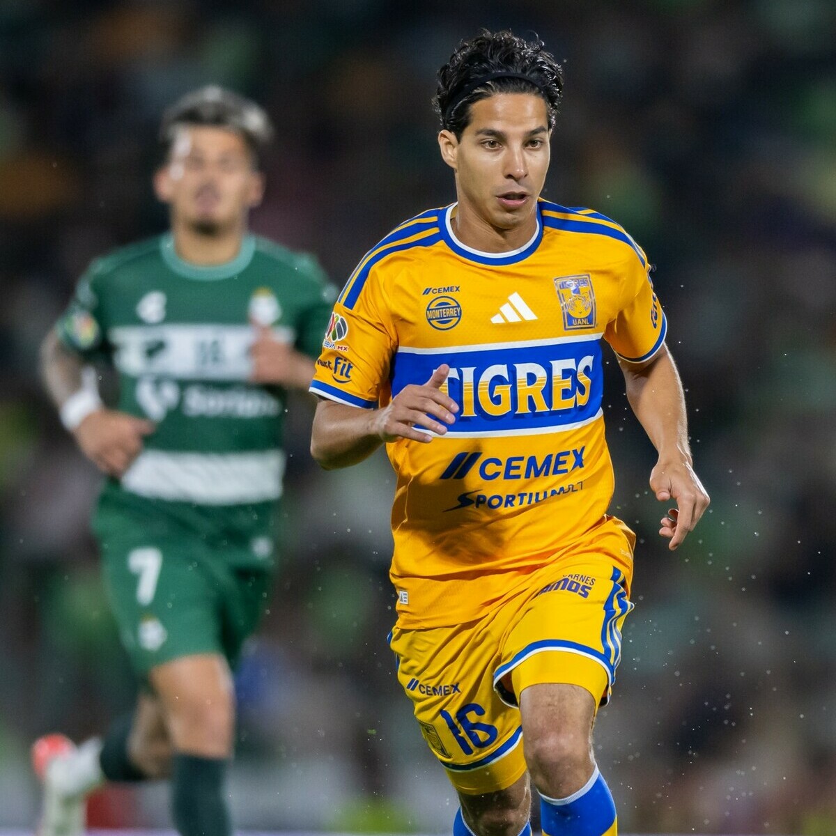 TOP Tigres Santos