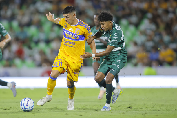 TOP Tigres Santos