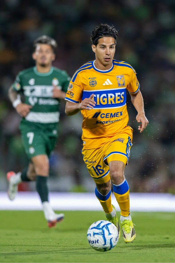 TOP Tigres Santos