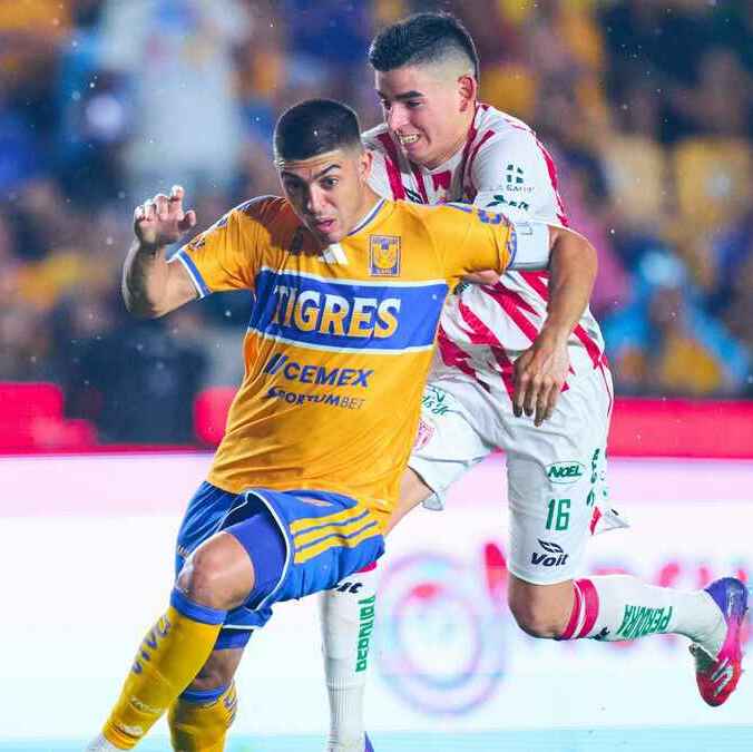Tigres no pudo contra Necaxa (Mexsport)