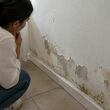 El método fácil para arreglar una pared con humedad sin hacer obra. (Foto: ChatGPT).