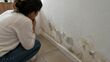El método fácil para arreglar una pared con humedad sin hacer obra. (Foto: ChatGPT).