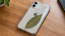 Hoja de laurel en la funda del celular: este es el curioso motivo por el que lo hacen. (ChatGPT).