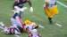 Jugador de Patriotas lesionado tras jugada ante Pittsburgh / Captura