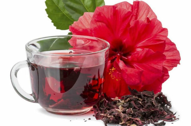 La flor de jamaica elimina las bacterias.