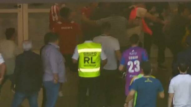 Hubo varios golpes entre algunos jugadores / Captura de pantalla