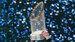 Los Playoffs 2026 terminarán con el campeón de la Serie Mundial. (Foto: Los Angeles Dodgers)