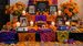 Esta es la FECHA en que debes colocar la ofrenda para tus mascotas por Día de Muertos 2026. (ChatGPT).
