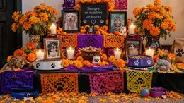 Esta es la FECHA en que debes colocar la ofrenda para tus mascotas por Día de Muertos 2026. (ChatGPT).