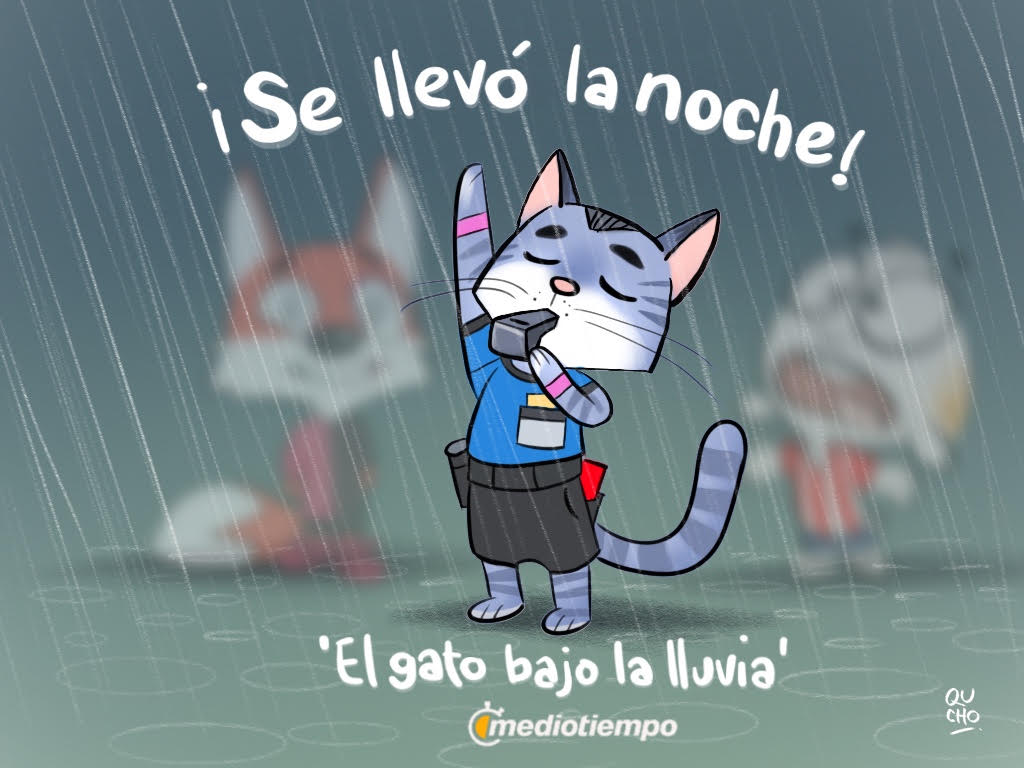 El gato bajo la lluvia