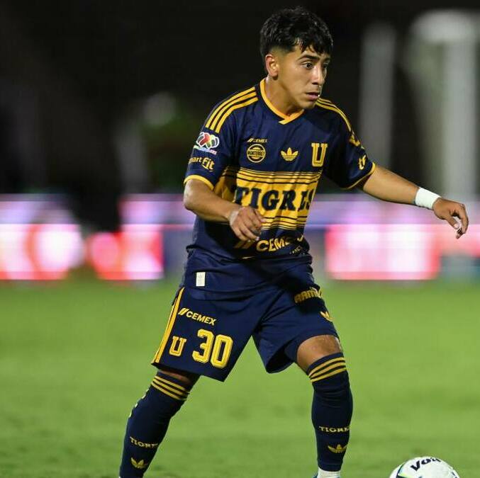 Tigres necesita darle minutos al Chicha Sánchez (Imago7)
