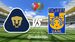 Consulta los canales de transmisión y horario del partido entre Pumas vs. Tigres por la Jornada 14.