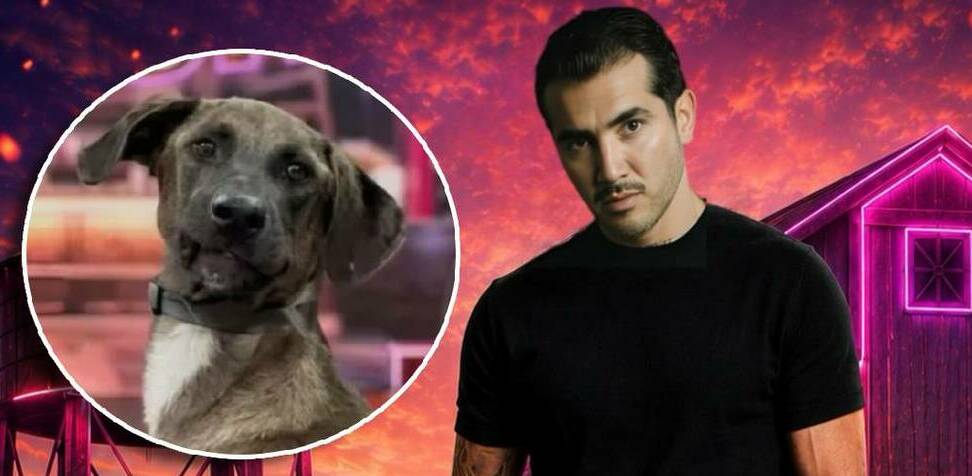 Mono Osuna enfrentaría denuncia legal por supuesto maltrato animal en La Granja VIP. FOTOS: Especiales